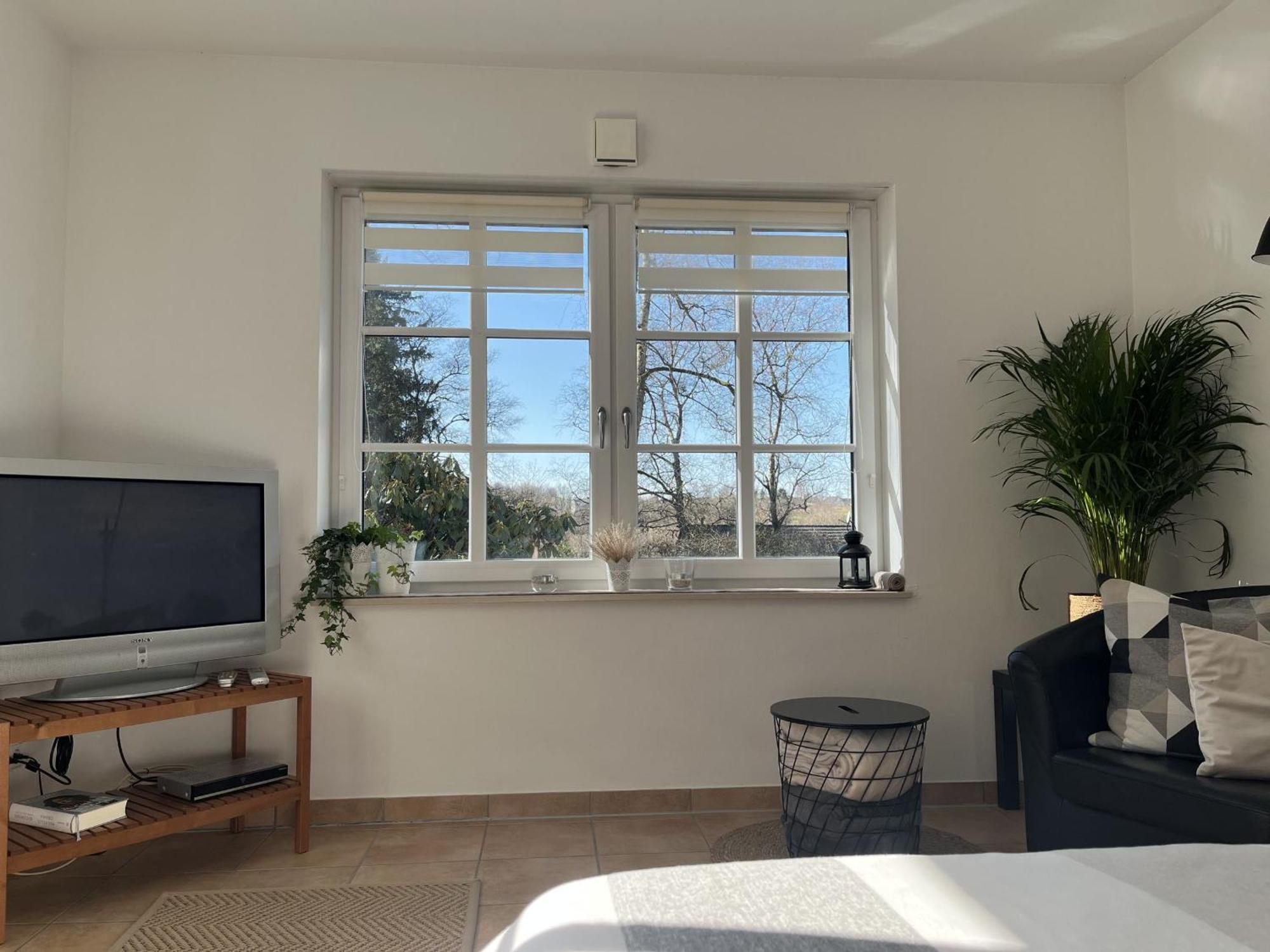 Apartamento Scheppes Auszeit Wenden  Exterior foto